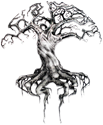 Genesis Capital